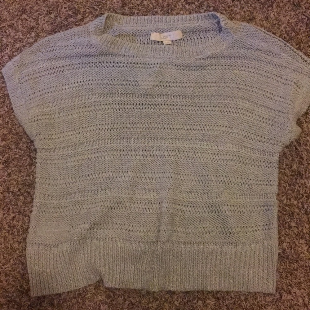 Ann Taylor Sweater